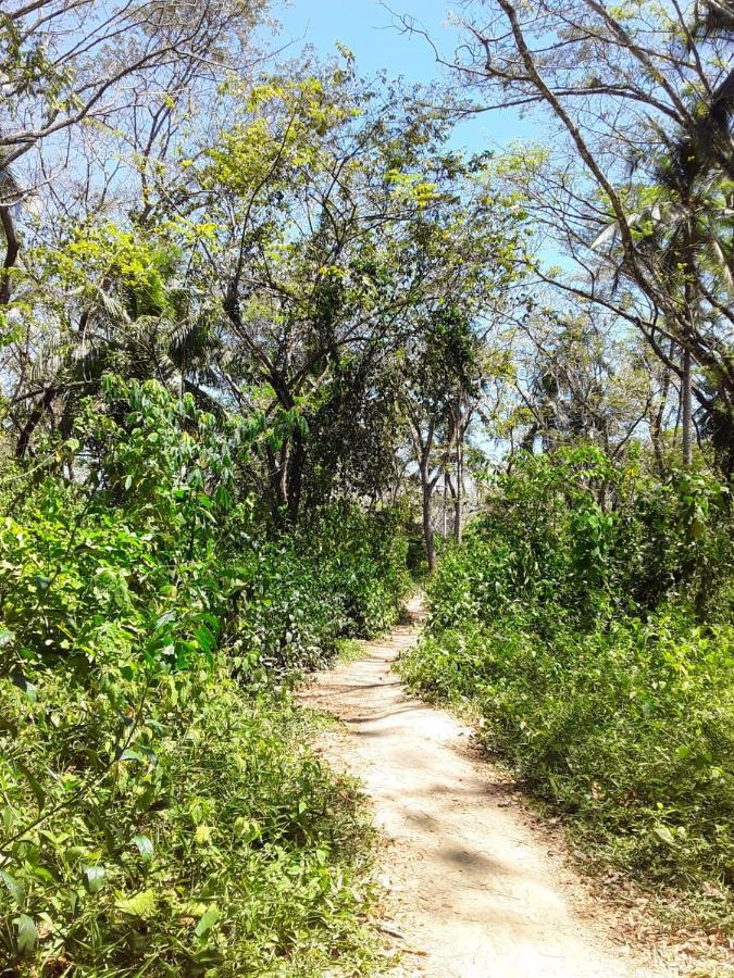 Fully Furnished Family Jungle Tent, Latino Glamping 帕克拉 外观 照片