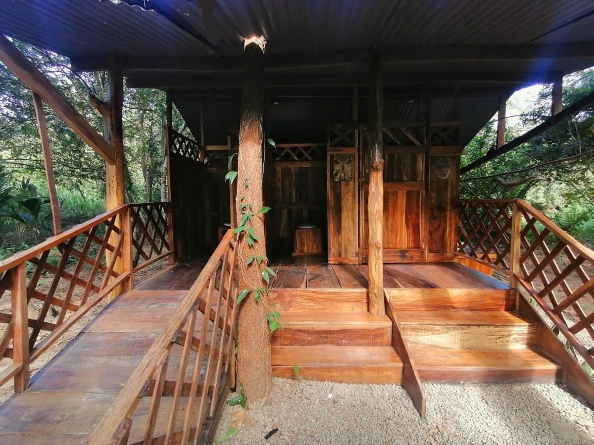 Fully Furnished Family Jungle Tent, Latino Glamping 帕克拉 外观 照片