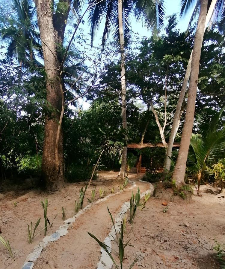 Fully Furnished Family Jungle Tent, Latino Glamping 帕克拉 外观 照片