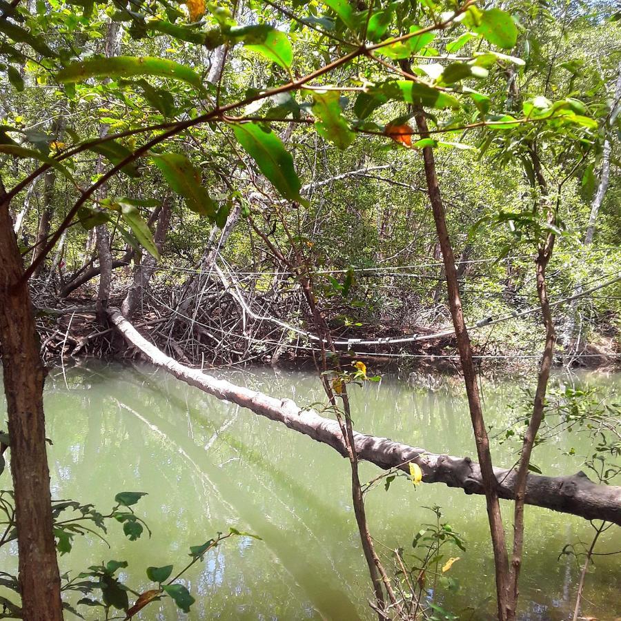Fully Furnished Family Jungle Tent, Latino Glamping 帕克拉 外观 照片