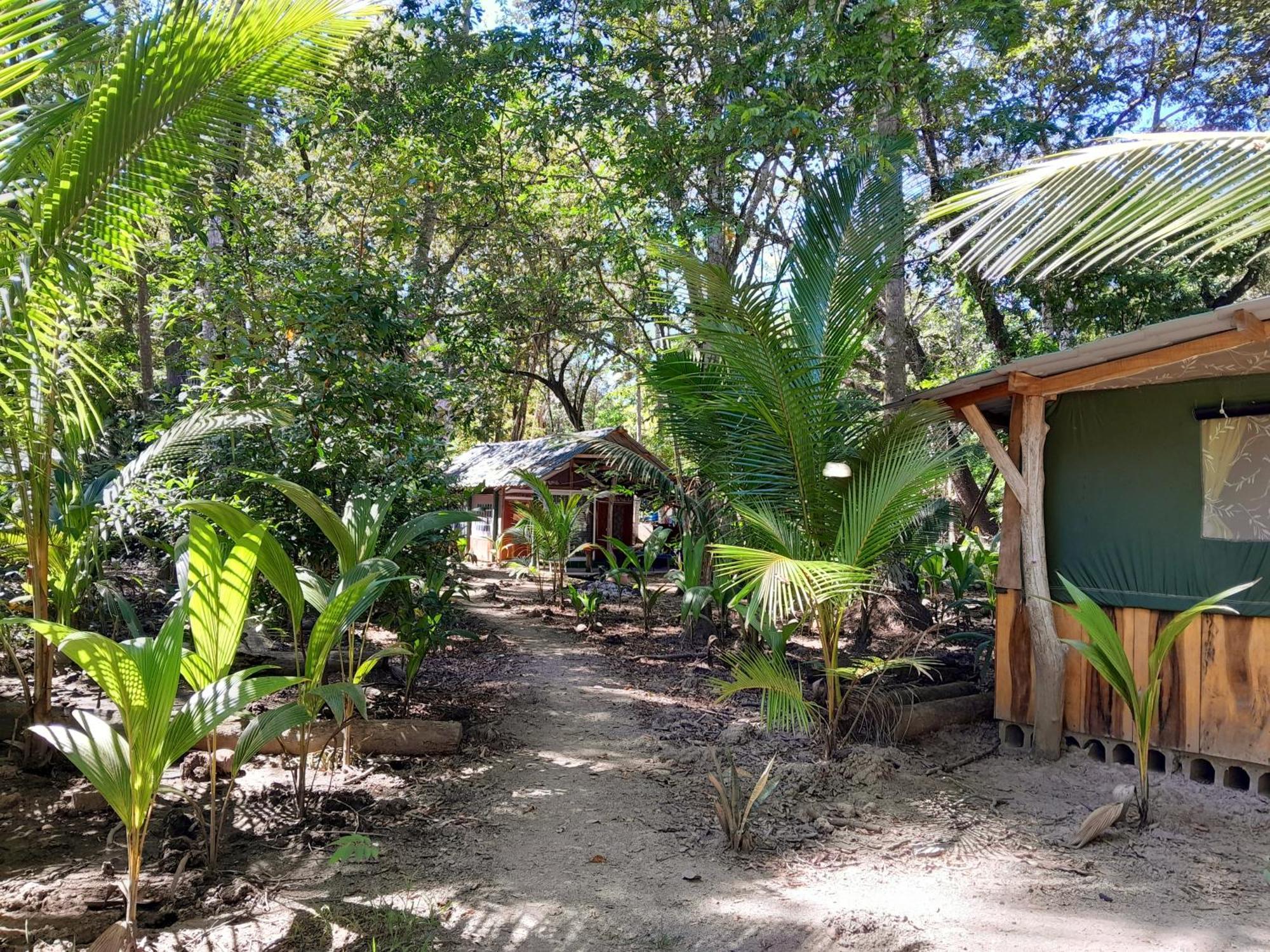Fully Furnished Family Jungle Tent, Latino Glamping 帕克拉 外观 照片