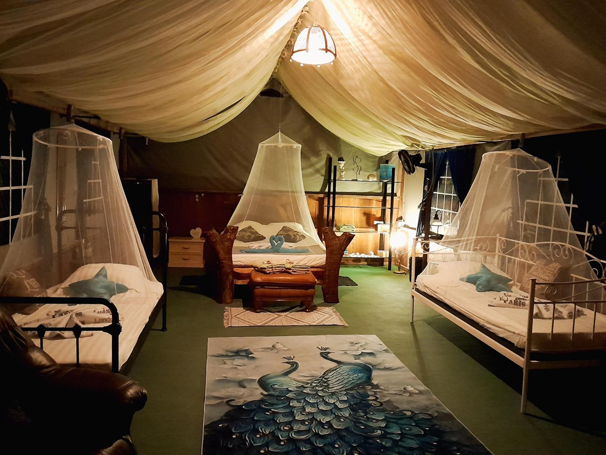 Fully Furnished Family Jungle Tent, Latino Glamping 帕克拉 外观 照片
