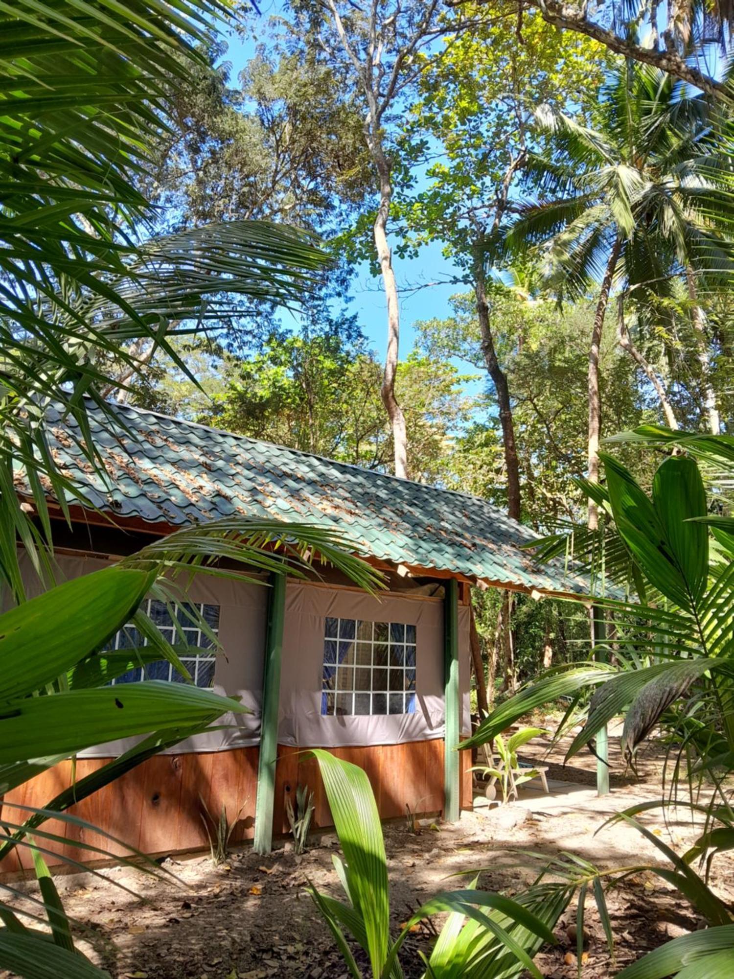 Fully Furnished Family Jungle Tent, Latino Glamping 帕克拉 外观 照片