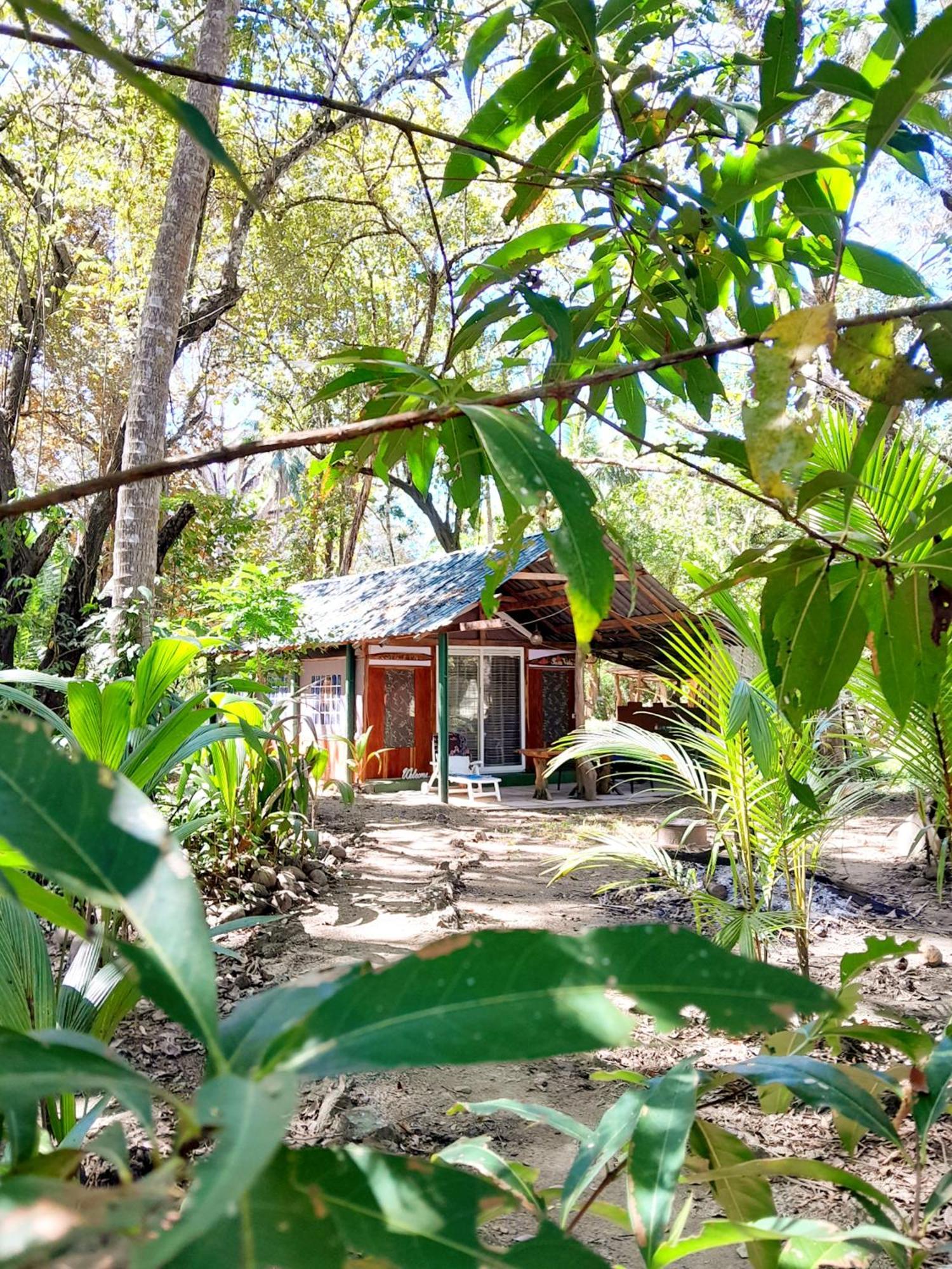 Fully Furnished Family Jungle Tent, Latino Glamping 帕克拉 外观 照片