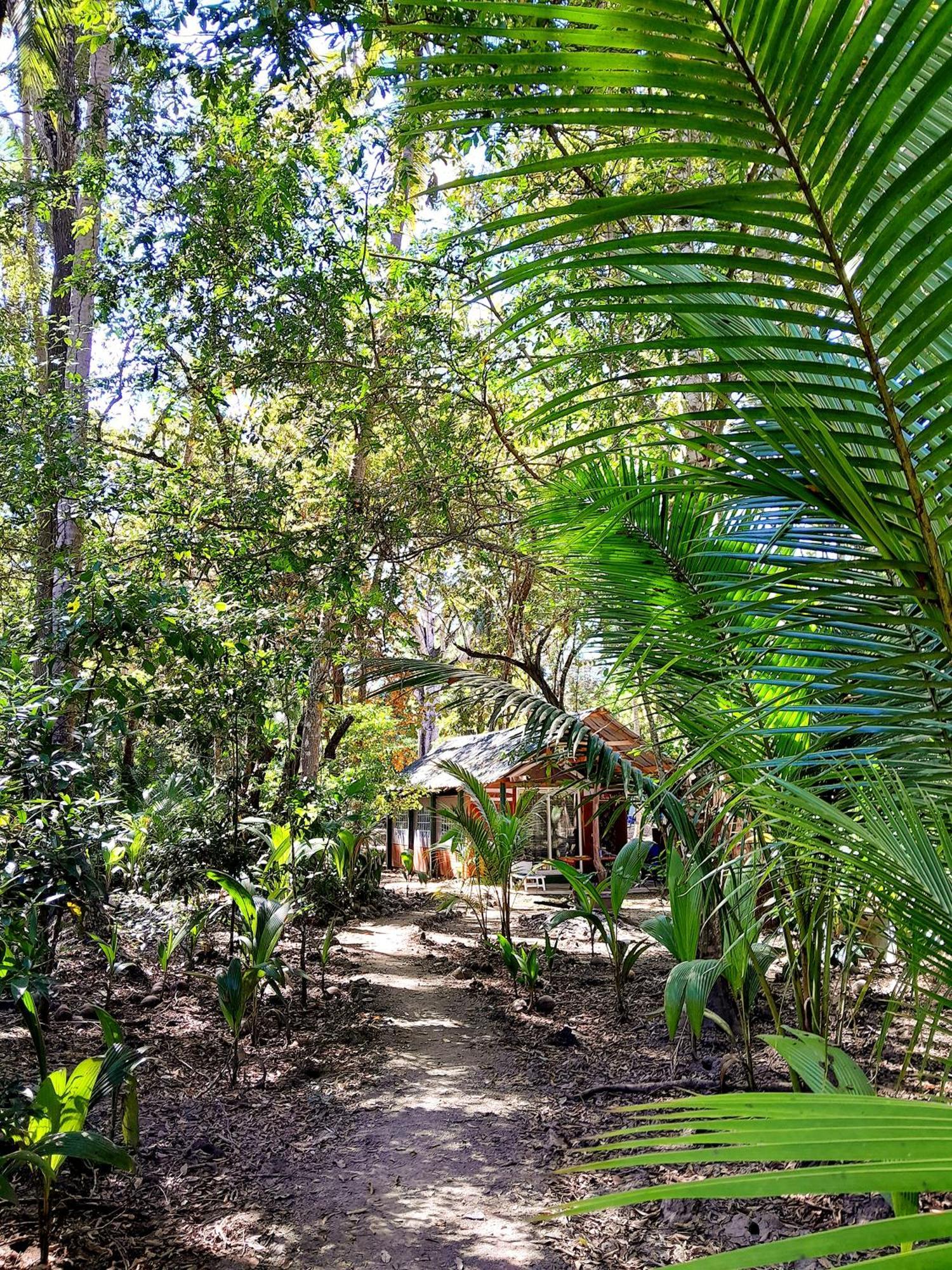 Fully Furnished Family Jungle Tent, Latino Glamping 帕克拉 外观 照片