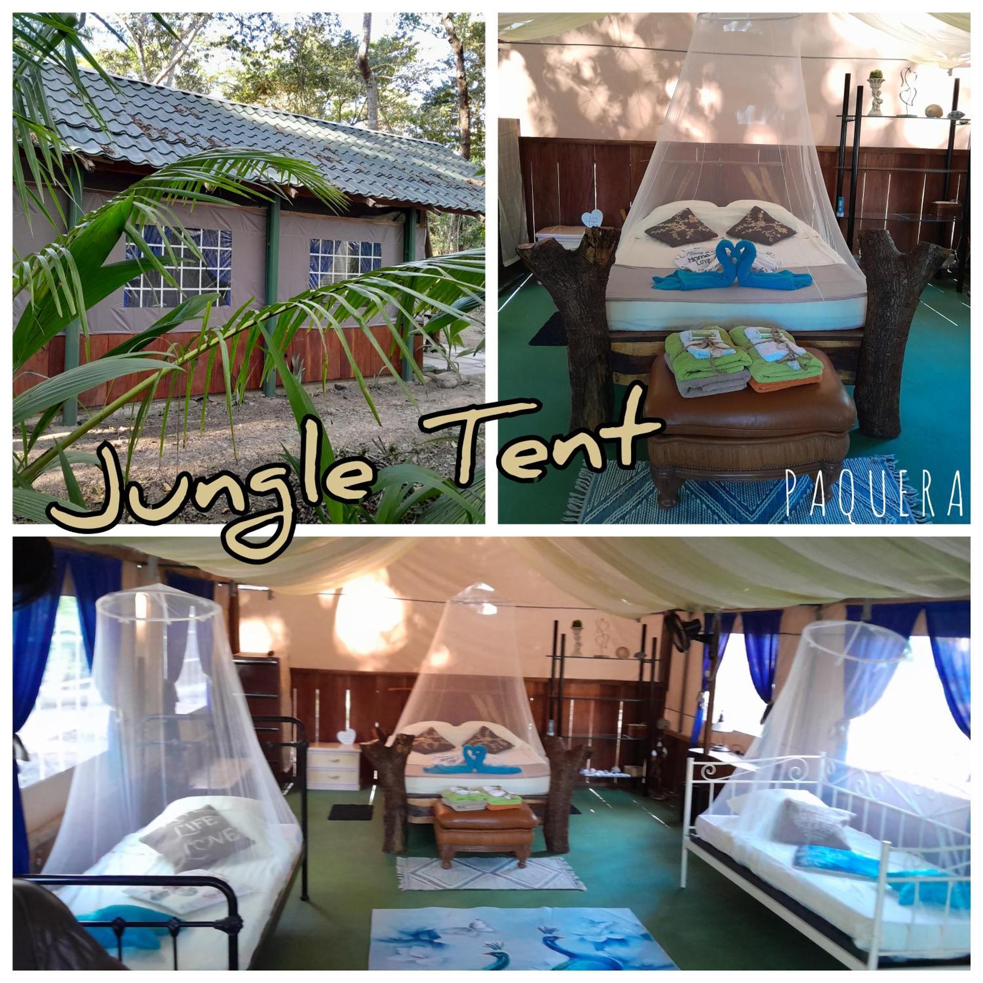 Fully Furnished Family Jungle Tent, Latino Glamping 帕克拉 外观 照片
