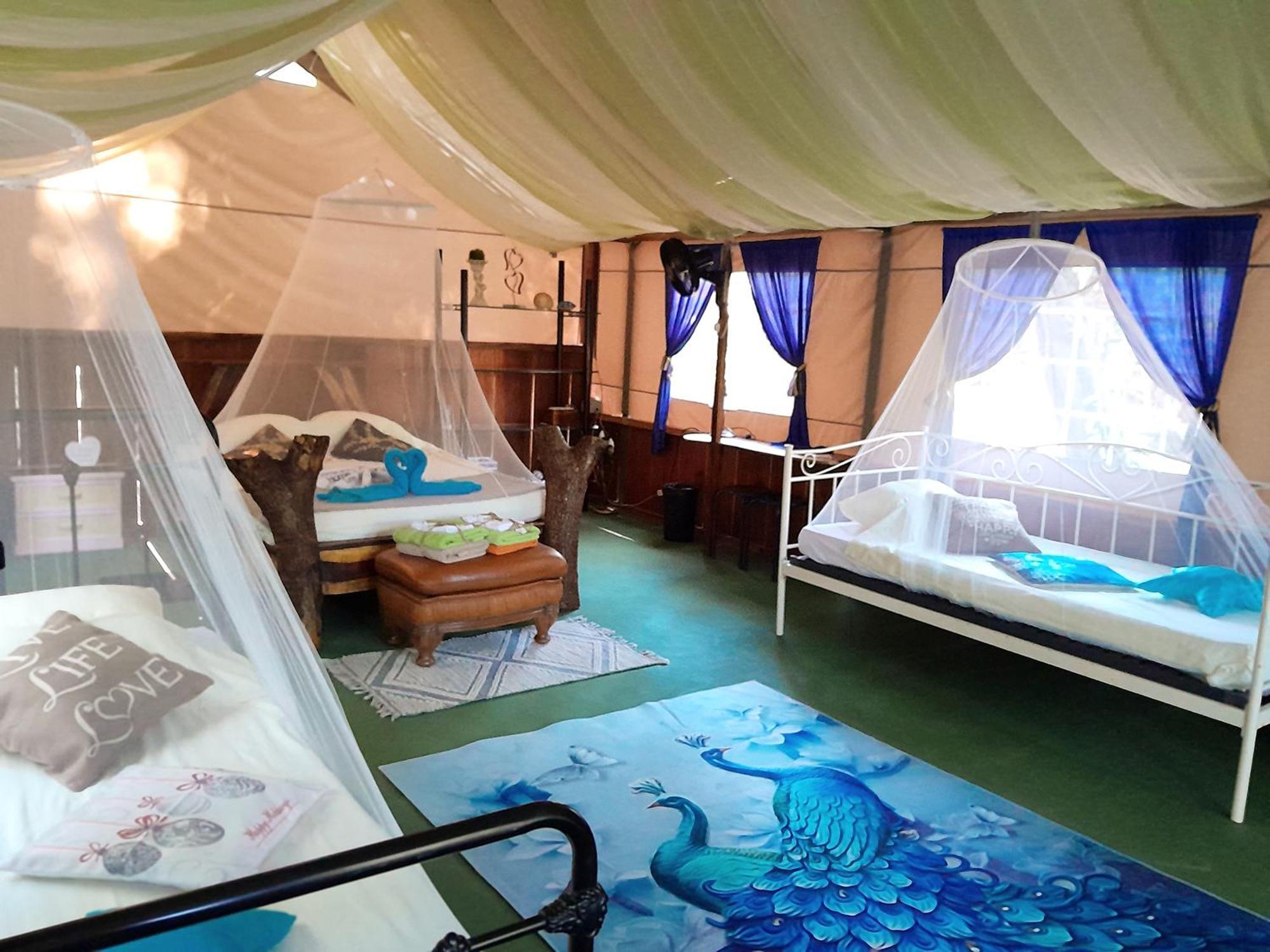 Fully Furnished Family Jungle Tent, Latino Glamping 帕克拉 外观 照片