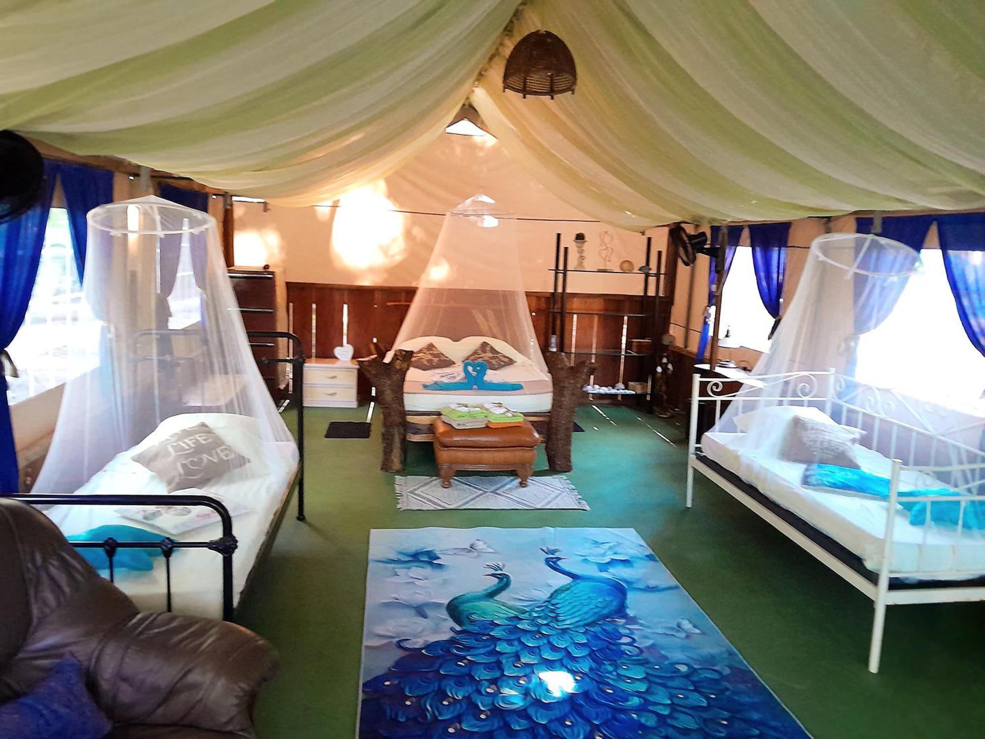 Fully Furnished Family Jungle Tent, Latino Glamping 帕克拉 外观 照片