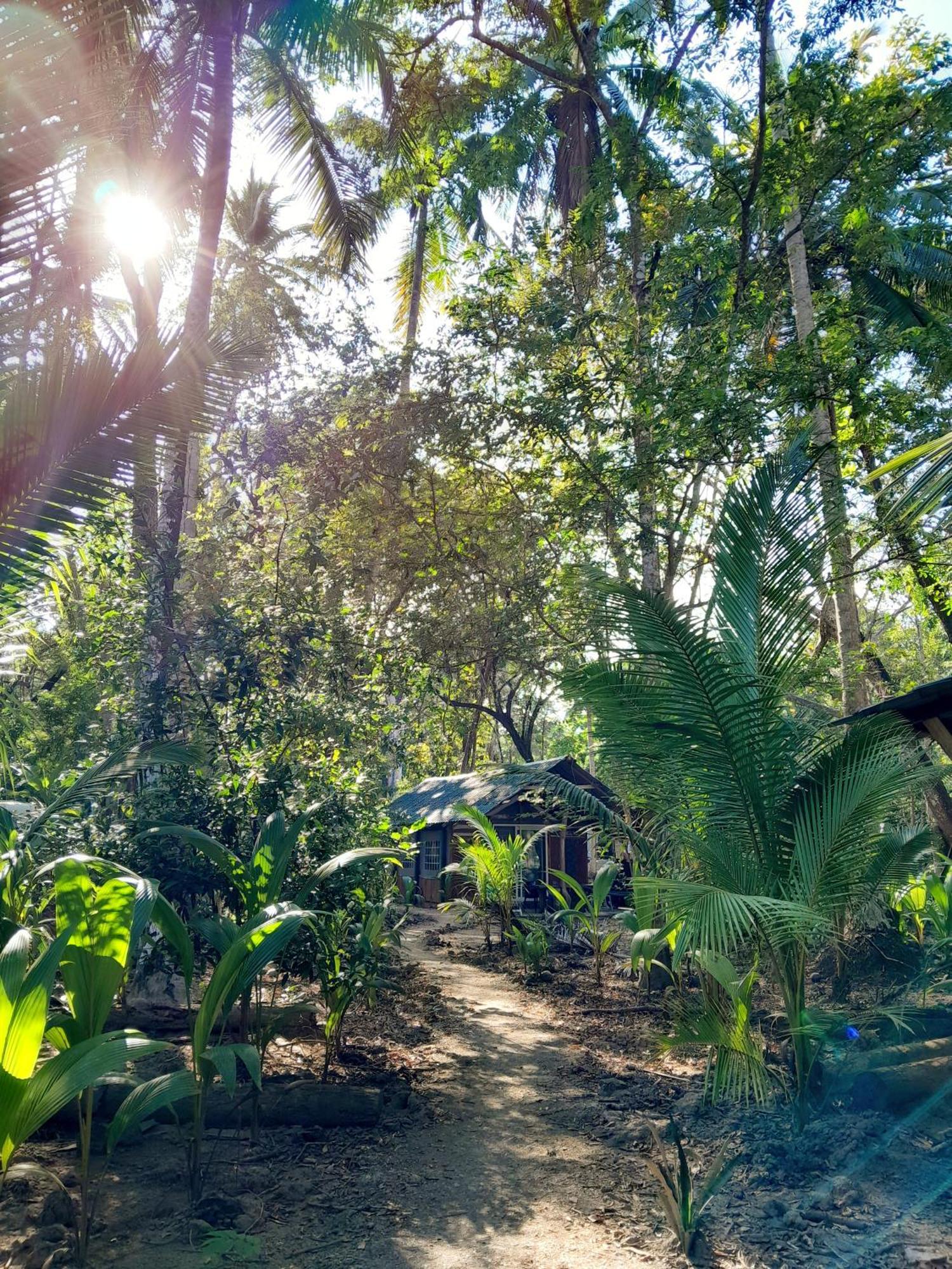 Fully Furnished Family Jungle Tent, Latino Glamping 帕克拉 外观 照片